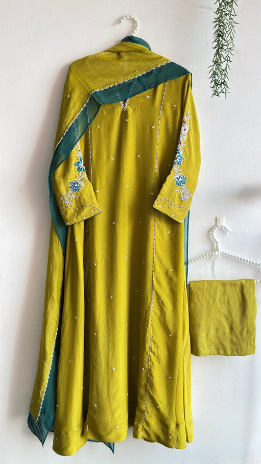 ELARA OLIVE