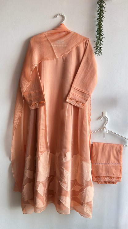 APRICOT BLOOM